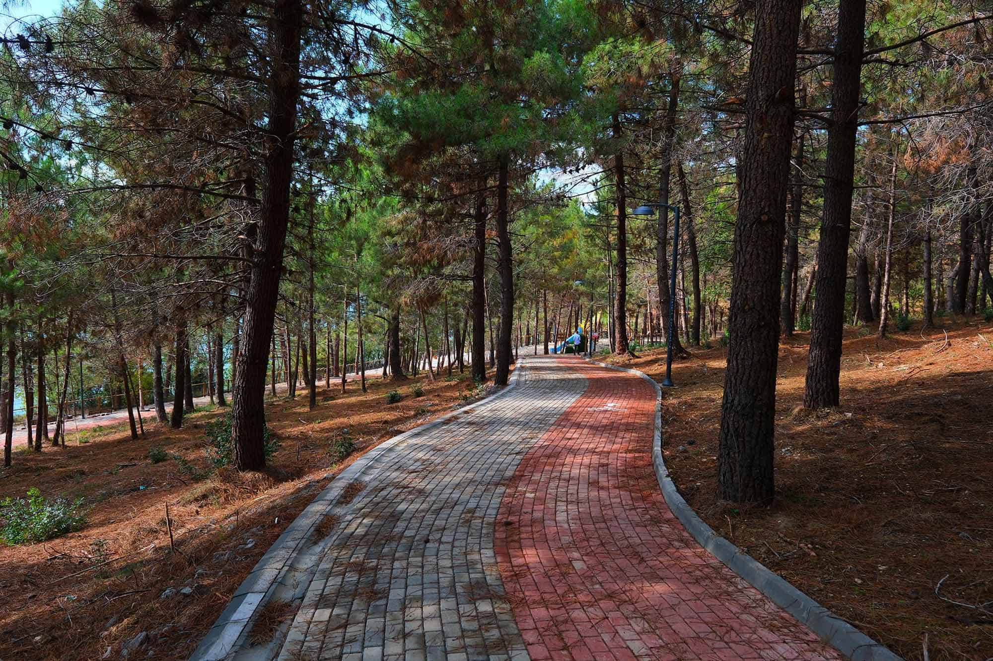 Sakarya’da 5 Nisan’da Huzur Koridoru’nda Düzenlenecek 23 Nisan Halk Koşusu Baharı Sporla Karşılıyor